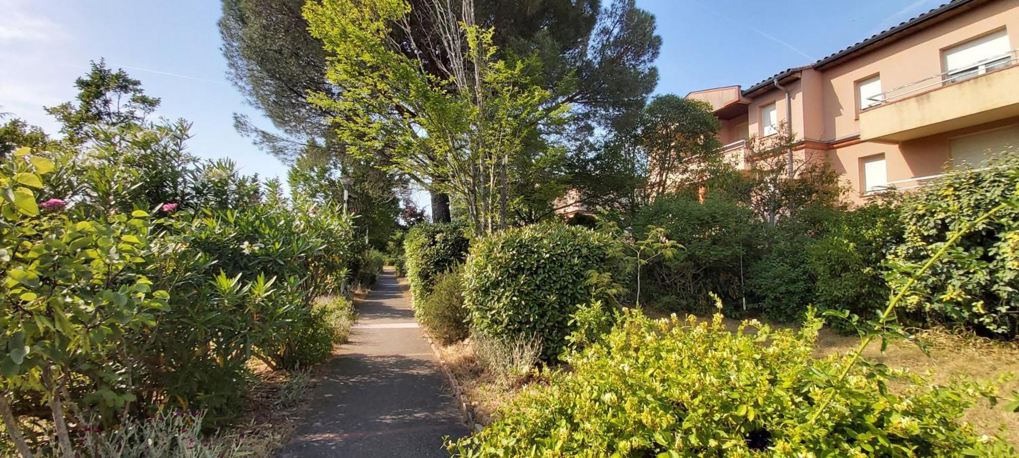 Les Elfes - Avec Entree Autonome, Clim Neuve, Jardin, Parking Prive & Gourmandises Offertes ! - Appartement Toulouse Buitenkant foto