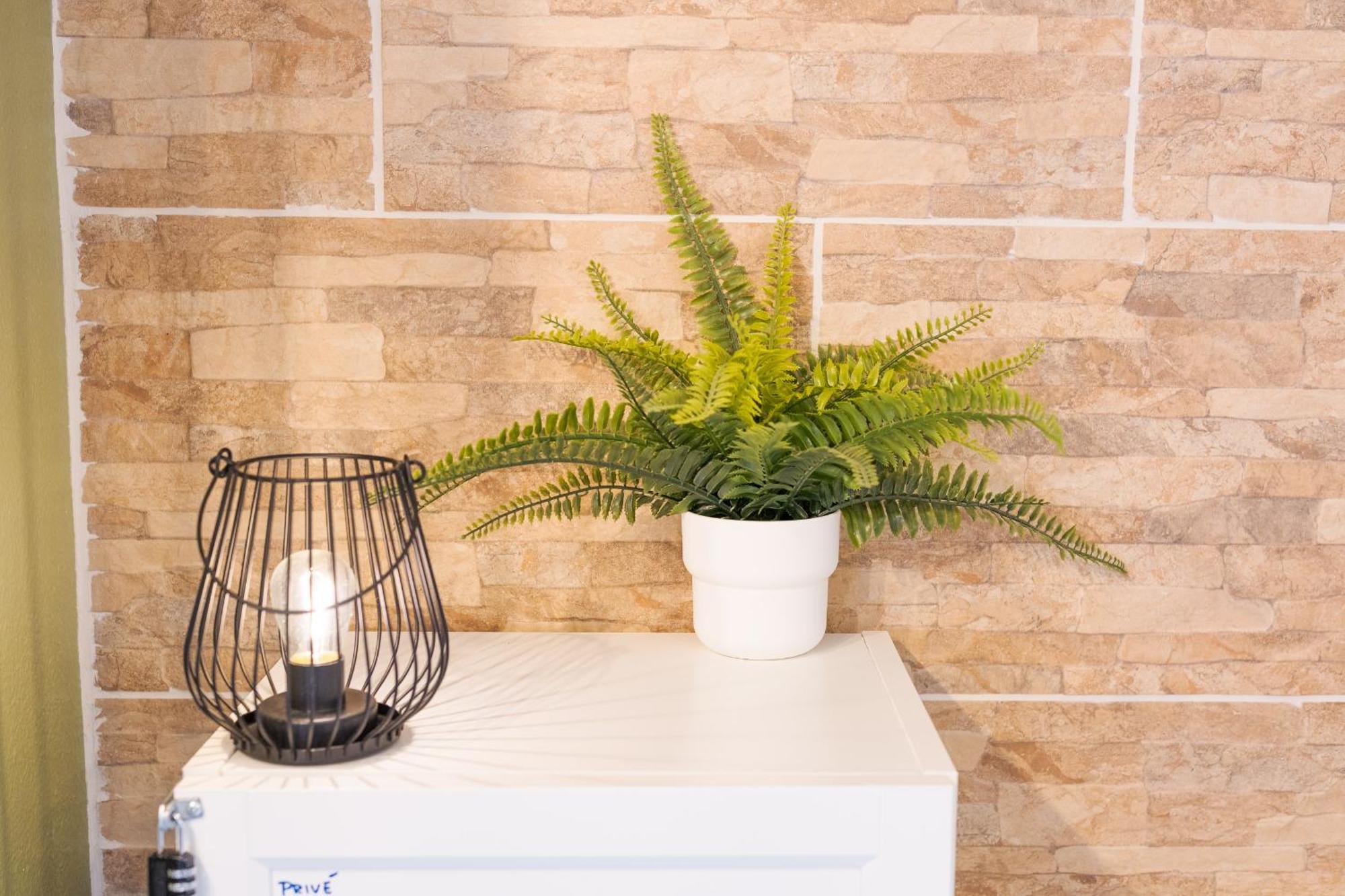 Les Elfes - Avec Entree Autonome, Clim Neuve, Jardin, Parking Prive & Gourmandises Offertes ! - Appartement Toulouse Buitenkant foto