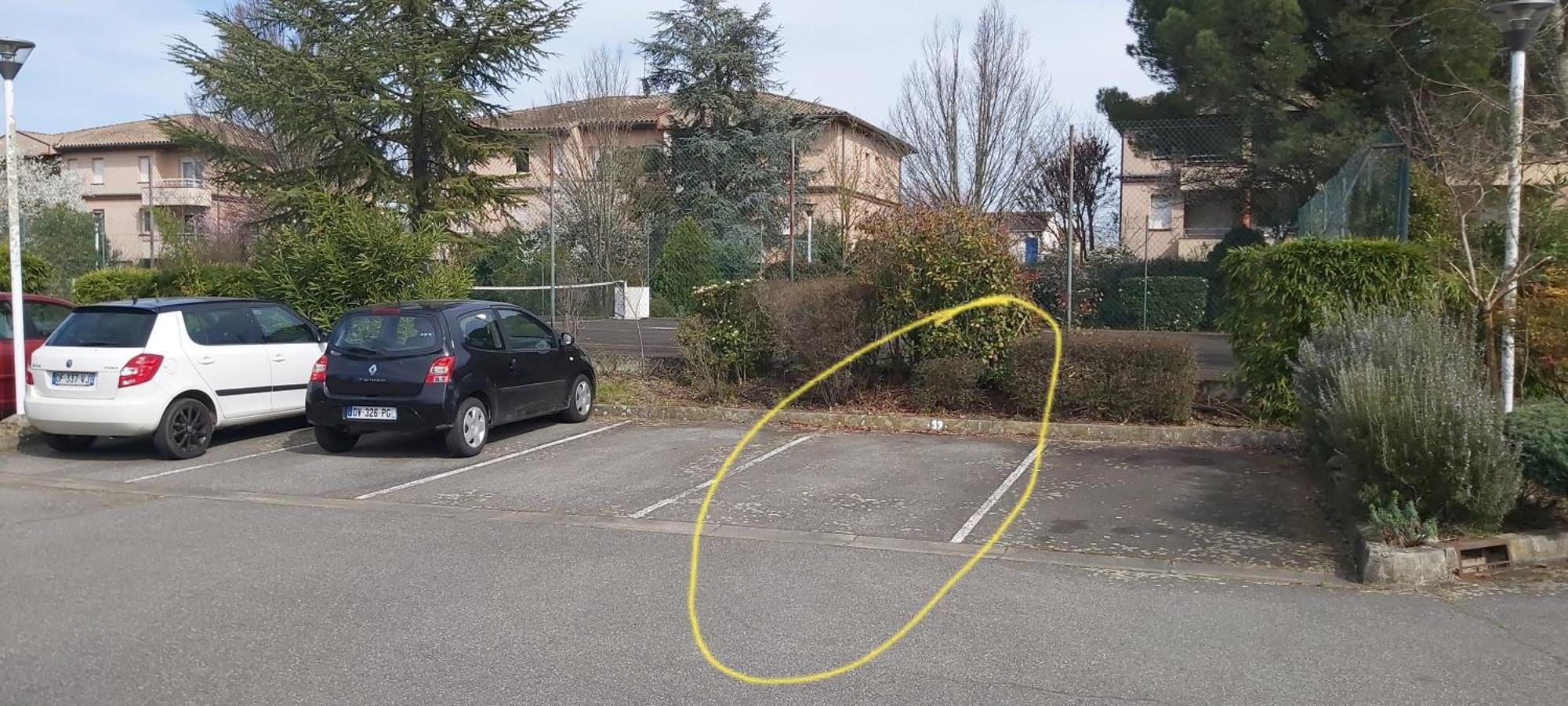 Les Elfes - Avec Entree Autonome, Clim Neuve, Jardin, Parking Prive & Gourmandises Offertes ! - Appartement Toulouse Buitenkant foto