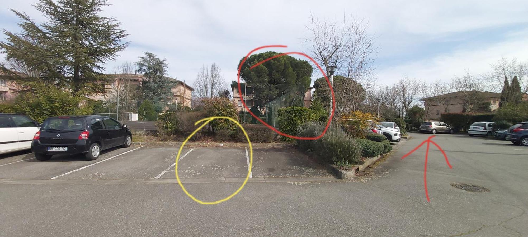 Les Elfes - Avec Entree Autonome, Clim Neuve, Jardin, Parking Prive & Gourmandises Offertes ! - Appartement Toulouse Buitenkant foto